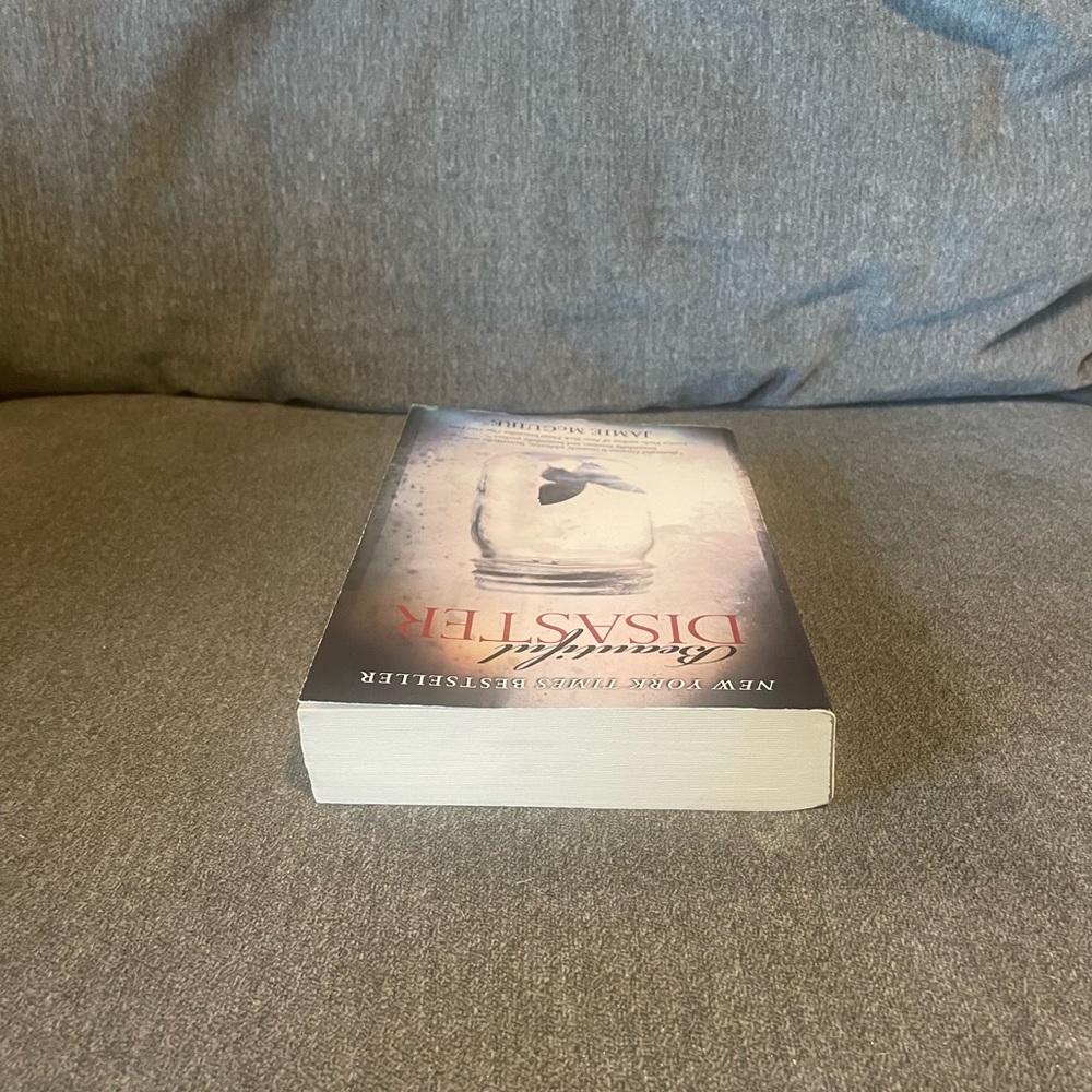 “Beautiful Disaster” Novel - Picture 4 of 6